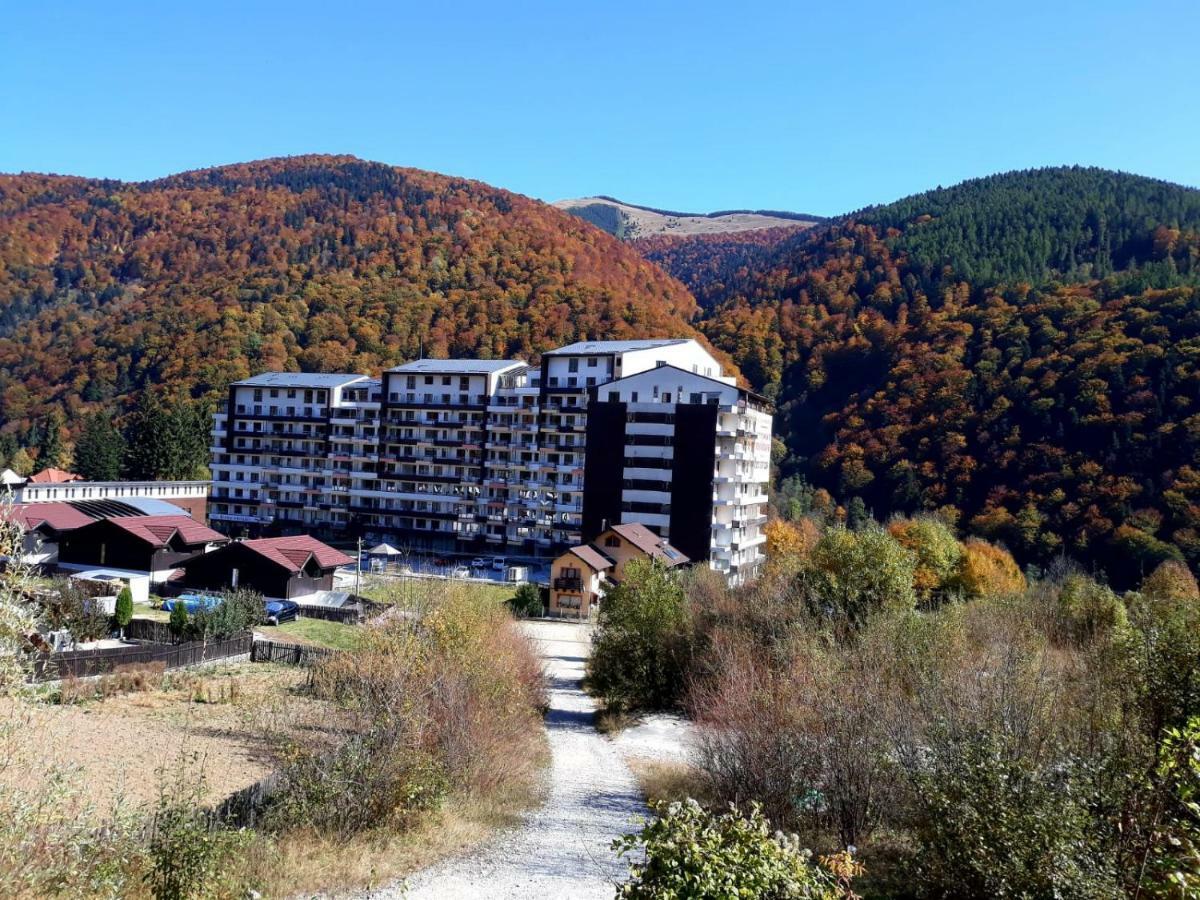 Apartamento Ripsime Colina Marei Sinaia Exterior foto